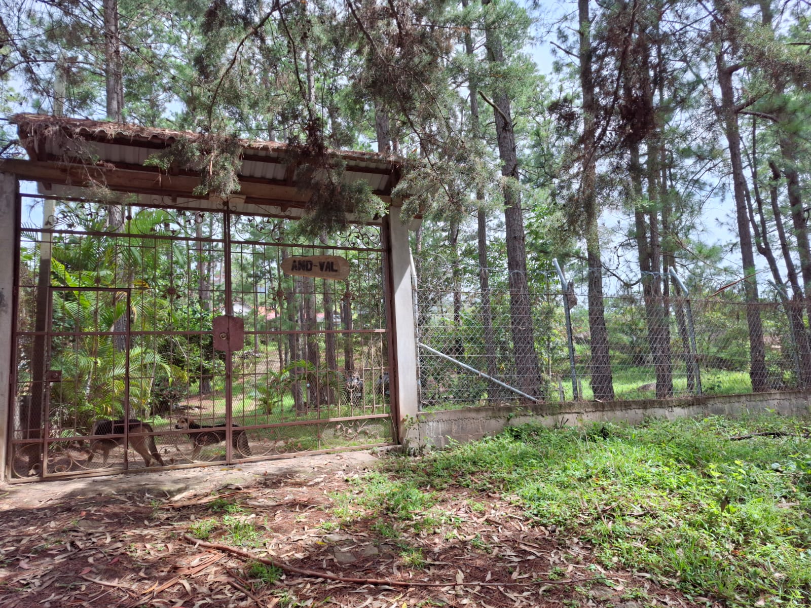 VALLE DE ÁNGELES, FRANCISCO MORAZÁN